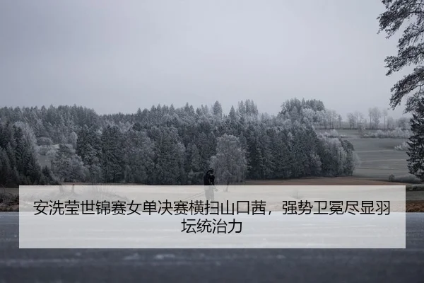 安洗莹世锦赛女单决赛横扫山口茜，强势卫冕尽显羽坛统治力